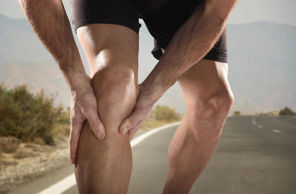 Regenerative Medicine / Joint Therapy